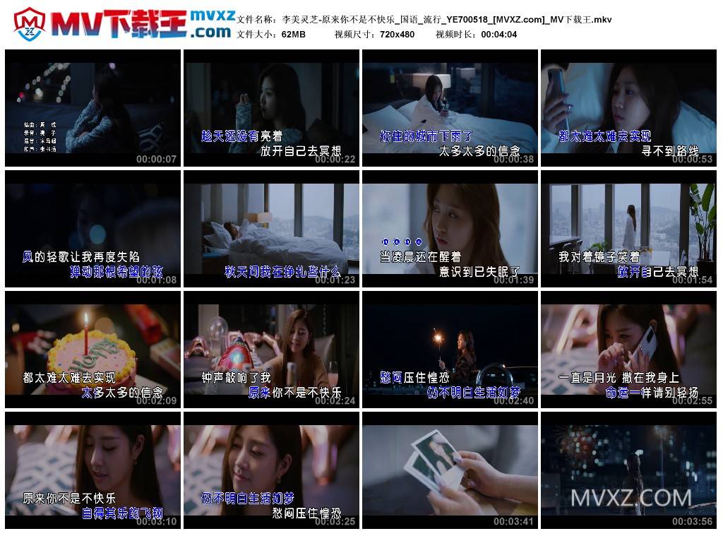 李美灵芝-原来你不是不快乐_国语_流行_YE700518